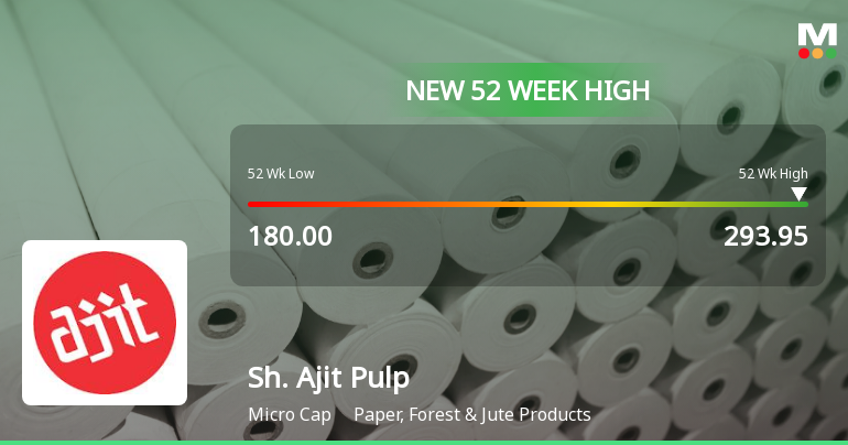 Broad-Based Technical Strength Lifts Shree Ajit Pulp and Paper Ltd to 52-Week High of Rs 293