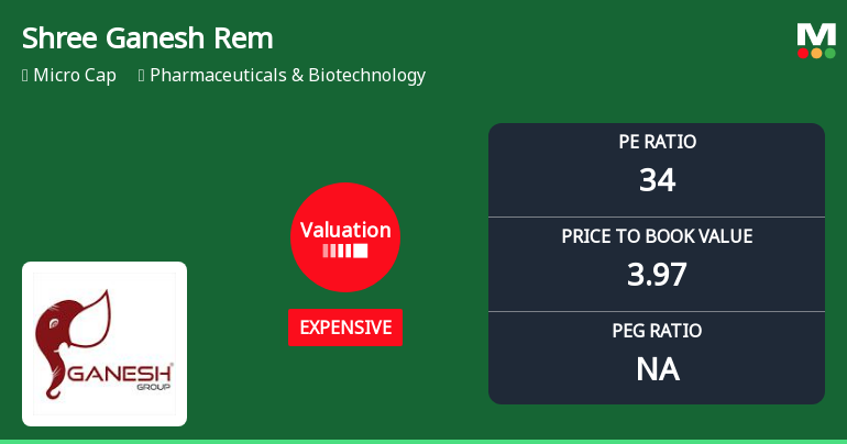 Shree Ganesh Remedies Ltd Valuation Shifts Signal Elevated Price Risk