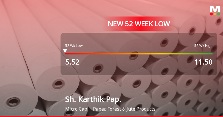 Markets Rally, But Shree Karthik Papers Ltd Sinks to 52-Week Low in Stock-Specific Sell-Off