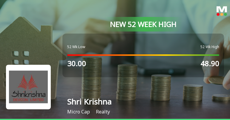 Broad-Based Technical Strength Lifts Shri Krishna Devcon Ltd to 52-Week High of Rs 55