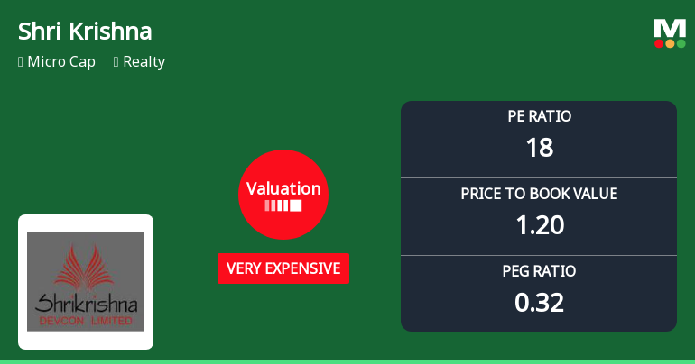 Shri Krishna Devcon Ltd Valuation Shifts Signal Heightened Price Risk Amid Sector Comparisons