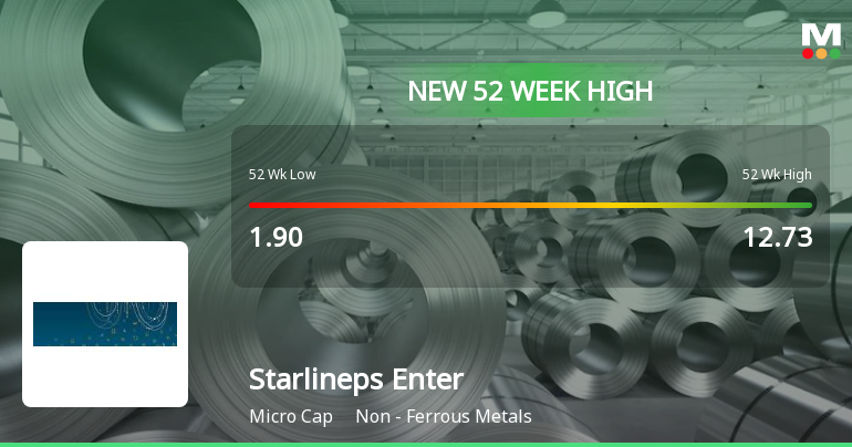 Broad-Based Technical Strength Lifts Starlineps Enterprises Ltd to 52-Week High of Rs 14.24