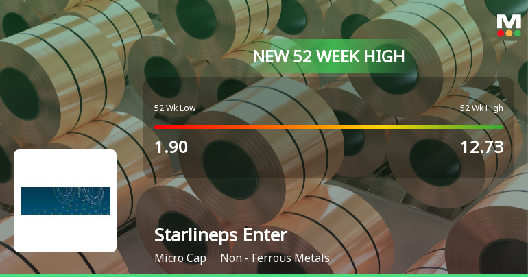 Broad-Based Technical Strength Lifts Starlineps Enterprises Ltd to 52-Week High of Rs 14.49