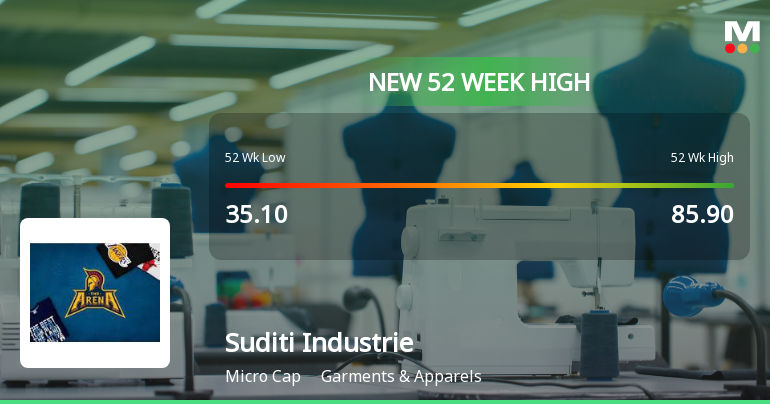 Broad-Based Technical Strength Lifts Suditi Industries Ltd to 52-Week High of Rs 105