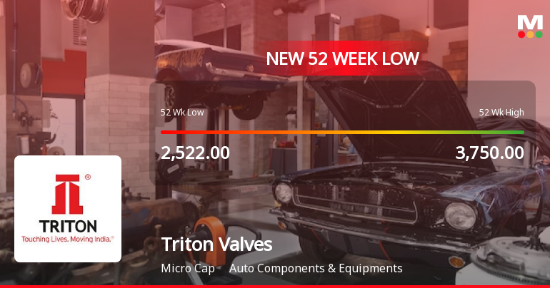 Triton Valves Ltd Falls to 52-Week Low of Rs 741.7 as Sell-Off Deepens