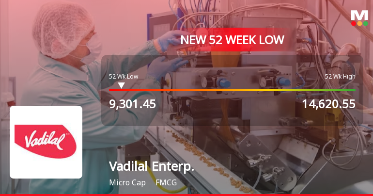 Markets Rally, But Vadilal Enterprises Ltd Sinks to 52-Week Low in Stock-Specific Sell-Off