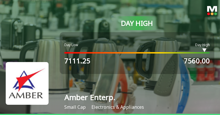 Amber Enterprises India Ltd Surges 7.02% to Day's High of Rs 7,560 — Outperforms Sector by 4.83 Percentage Points