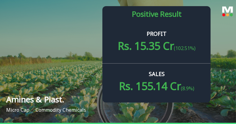 Amines & Plasticizers Q4 FY26: Stellar Profit Recovery Masks Underlying Revenue Concerns