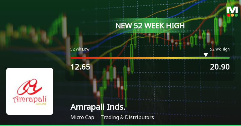 Broad-Based Technical Strength Lifts Amrapali Industries Ltd to 52-Week High of Rs 20.9