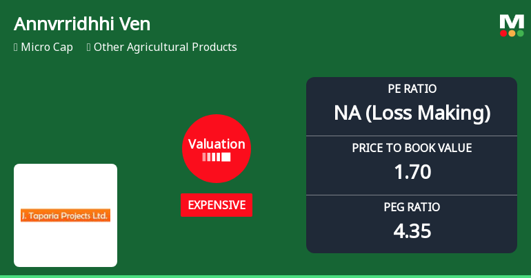Annvrridhhi Ventures Ltd Valuation Shifts Signal Price Attractiveness Decline