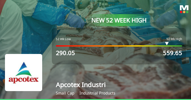 Broad-Based Technical Strength Lifts Apcotex Industries Ltd to 52-Week High of Rs 559.65
