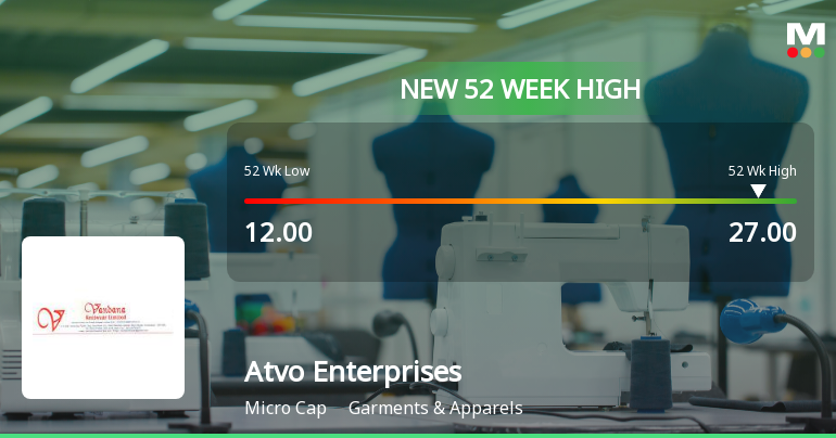 Broad-Based Technical Strength Lifts Atvo Enterprises Ltd to 52-Week High of Rs 27