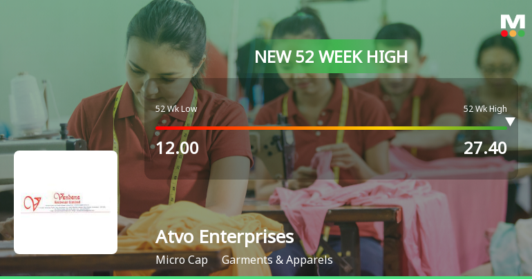 Broad-Based Technical Strength Lifts Atvo Enterprises Ltd to 52-Week High of Rs 27.4