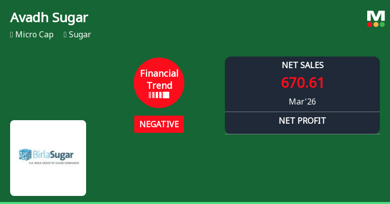 Avadh Sugar & Energy Ltd Reports Negative Financial Trend Amid Margin Pressures