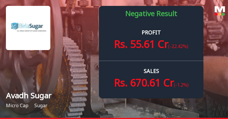 Avadh Sugar Q4 FY26: Strong Quarter Masks Underlying Volatility Concerns