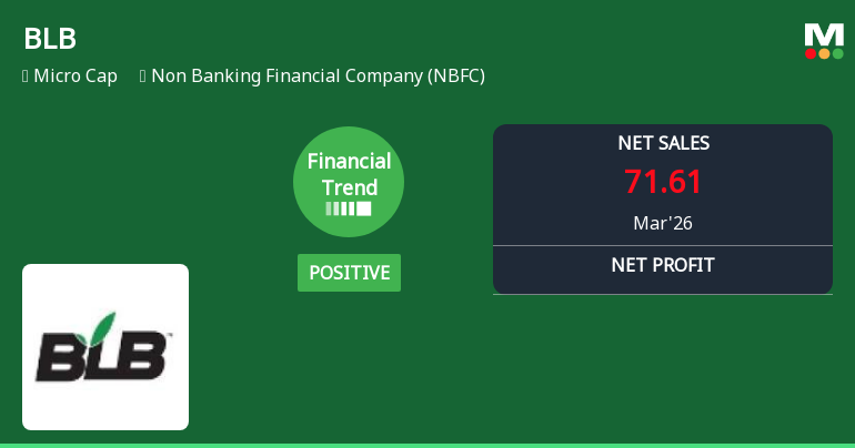 BLB Ltd Reports Mixed Quarterly Results Amid Shifting Financial Trends