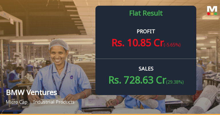 BMW Ventures Q4 FY26: Margin Pressures Shadow Strong Revenue Growth