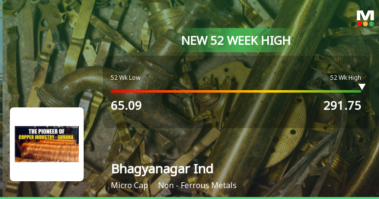 Broad-Based Technical Strength Lifts Bhagyanagar India Ltd to 52-Week High of Rs 291.75