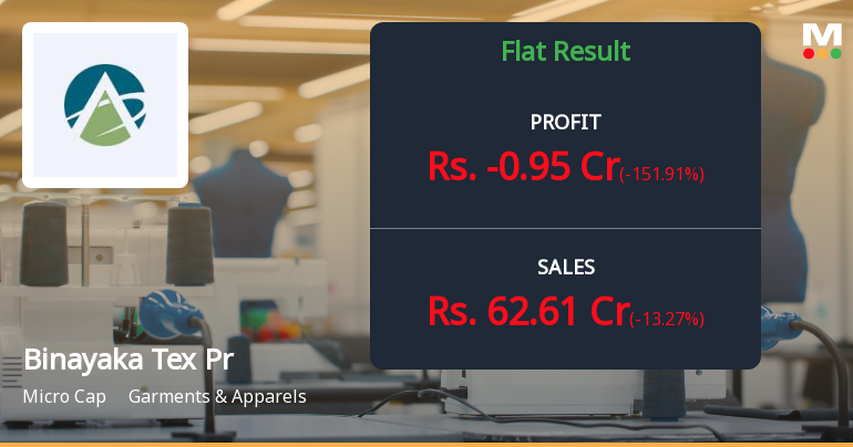 Binayaka Tex Processors Q4 FY26: Profit Plunge Raises Red Flags Despite Revenue Growth
