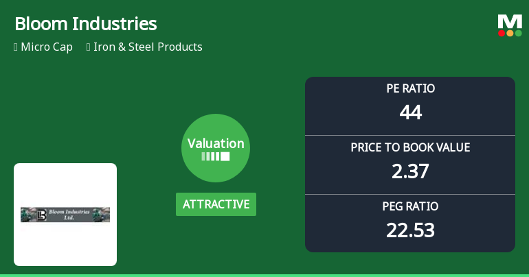 Bloom Industries Ltd Valuation Shifts Signal Renewed Price Attractiveness