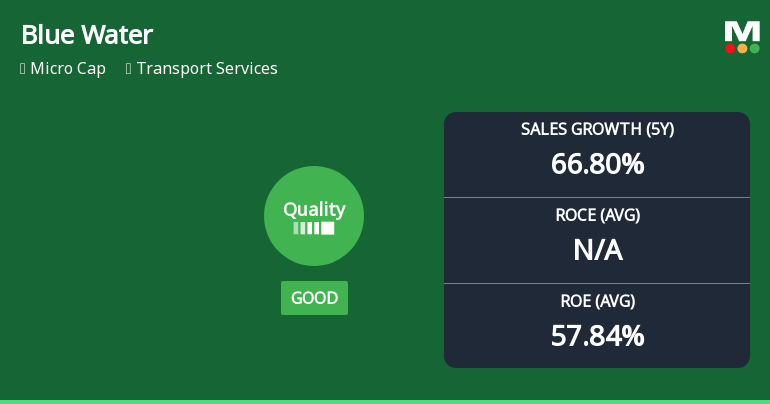 Blue Water Logistics Ltd Upgrades Quality Grade Amid Strong Financial Metrics