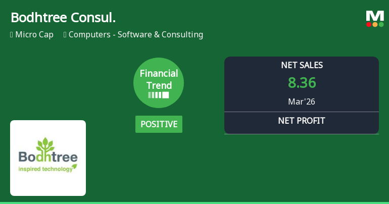Bodhtree Consulting Ltd Reports Positive Quarterly Performance Amidst Challenging Market Returns