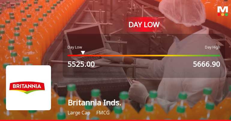 Britannia Industries Ltd Hits Intraday Low Amid Price Pressure