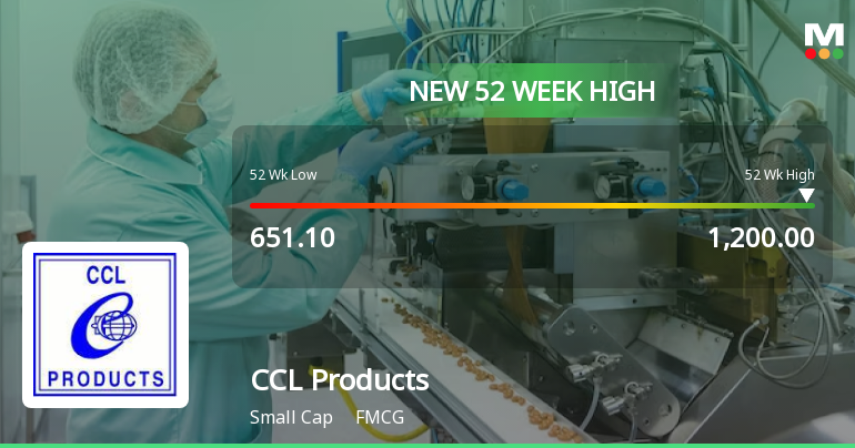 Broad-Based Technical Strength Lifts CCL Products to 52-Week High of Rs 1200