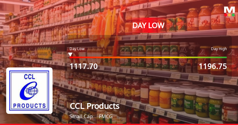 CCL Products (India) Ltd Hits Intraday Low Amid Price Pressure