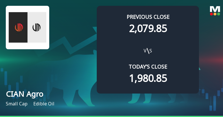 CIAN Agro Opens 5% Higher in Sharp Gap Up, But Can the Technicals Support It?