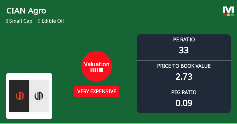 CIAN Agro Industries & Infrastructure Ltd Valuation Shifts Signal Price Attractiveness Change