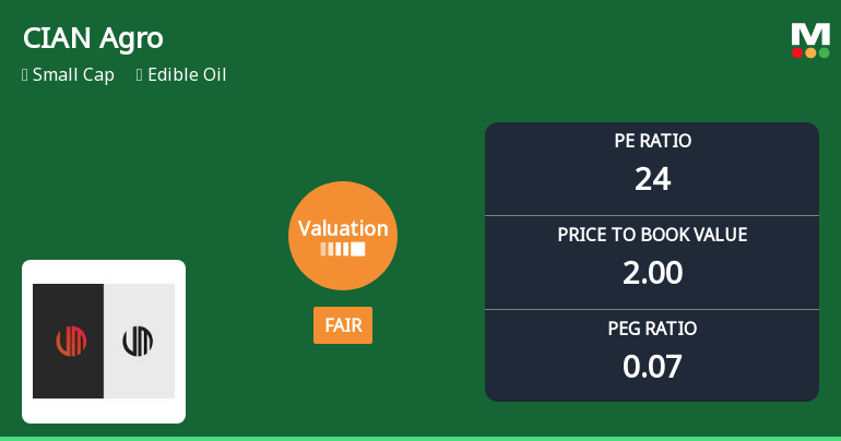 CIAN Agro Industries & Infrastructure Ltd Valuation Shifts to Fair Amid Market Volatility