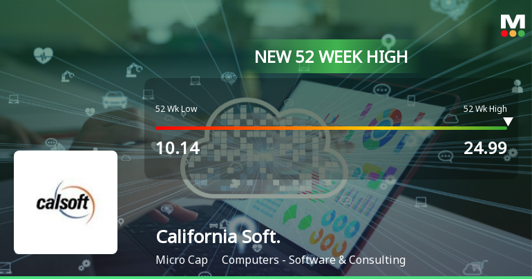Broad-Based Technical Strength Lifts California Software Company Ltd to 52-Week High of Rs 24.99