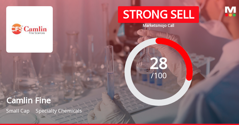 Camlin Fine Sciences Ltd is Rated Strong Sell