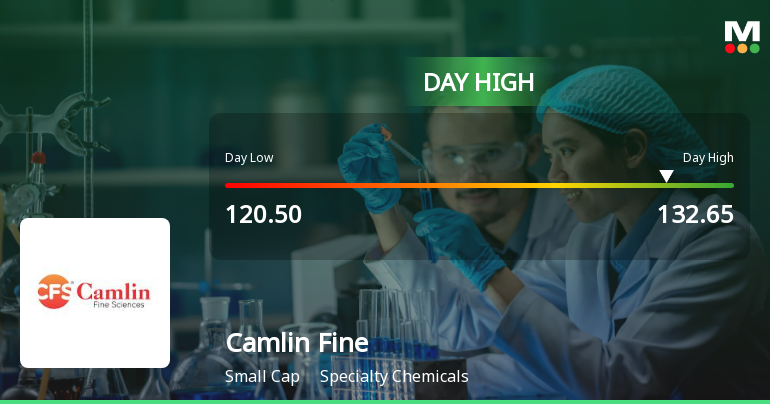 Camlin Fine Sciences Ltd Surges 7.09% to Day's High of Rs 132.05 — Outperforms Sector by 6.36 Percentage Points