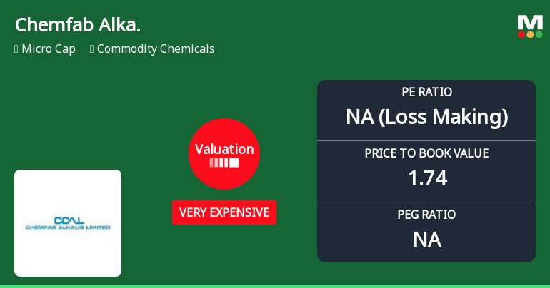 Chemfab Alkalis Ltd Valuation Shifts Signal Heightened Price Risk