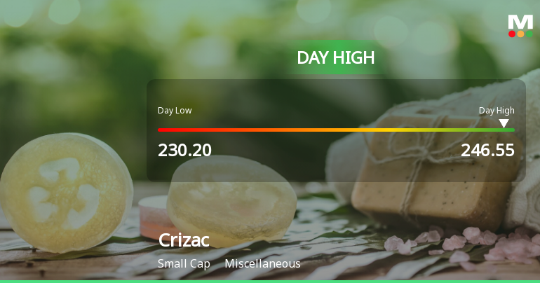 Crizac Ltd Surges 8.32% to Day's High of Rs 246.55 — Outperforms Sector by 7.71 Percentage Points