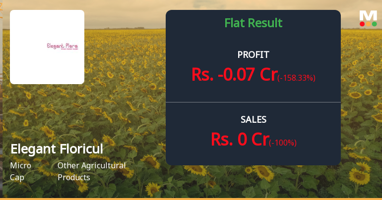 Elegant Floriculture Q4 FY26: Revenue Collapse Signals Deepening Operational Crisis