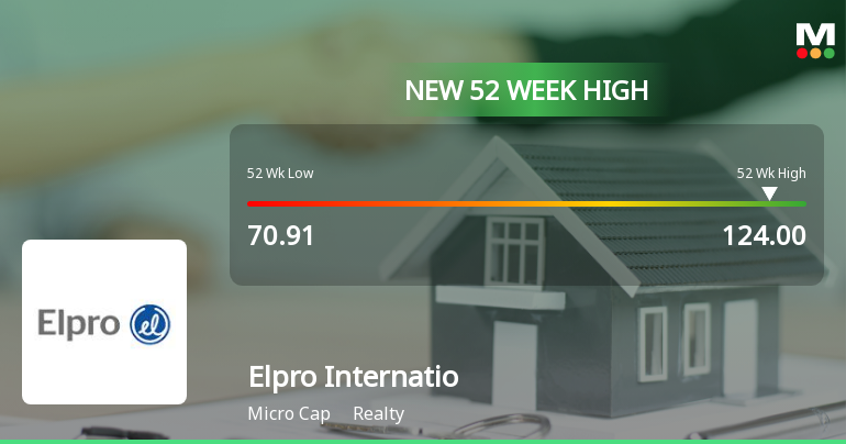 Broad-Based Technical Strength Lifts Elpro International Ltd to 52-Week High of Rs 124