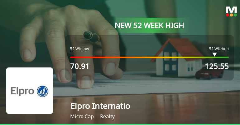 Broad-Based Technical Strength Lifts Elpro International Ltd to 52-Week High of Rs 125.55
