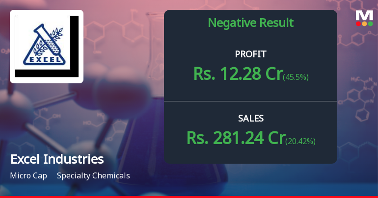 Excel Industries Q4 FY26: Profit Surge Masks Margin Erosion Concerns