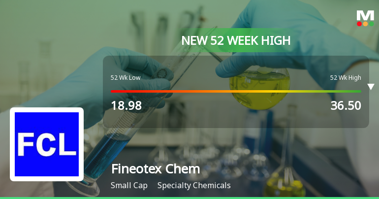 Broad-Based Technical Strength Lifts Fineotex Chemical Ltd to 52-Week High of Rs 36.5