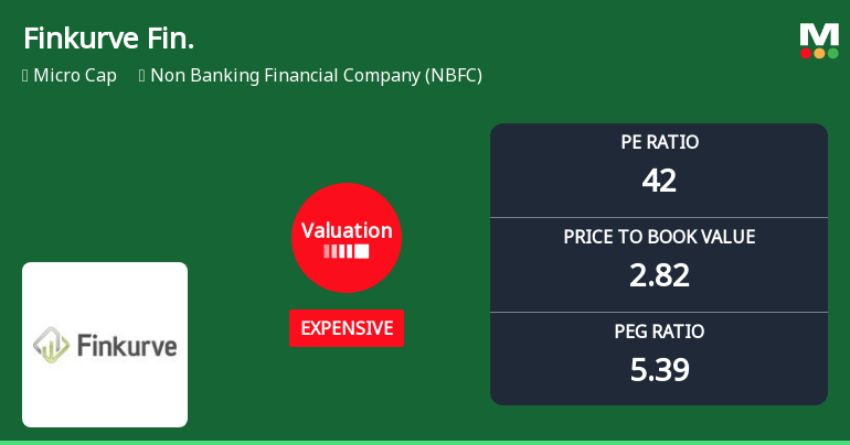 Finkurve Financial Services Ltd Valuation Shifts Signal Elevated Price Risk