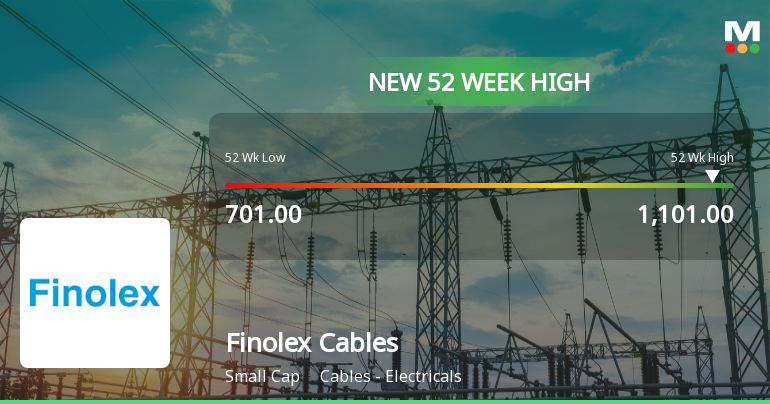 Broad-Based Technical Strength Lifts Finolex Cables Ltd. to 52-Week High of Rs 1101