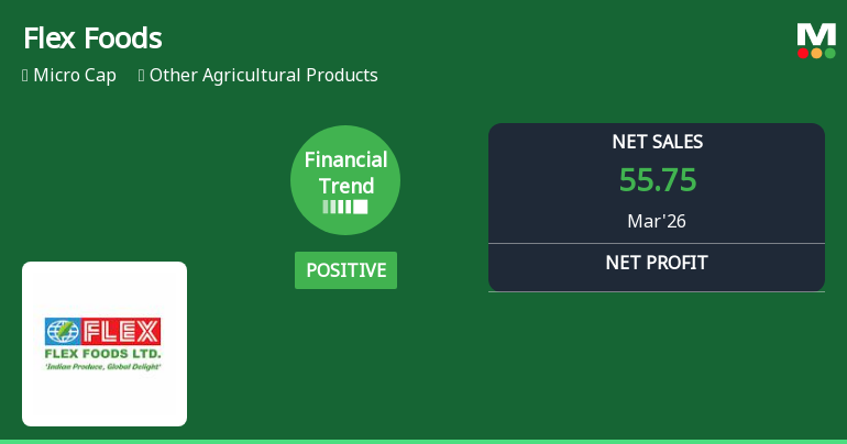 Flex Foods Ltd Reports Strong Quarterly Financial Turnaround Amid Micro-Cap Challenges