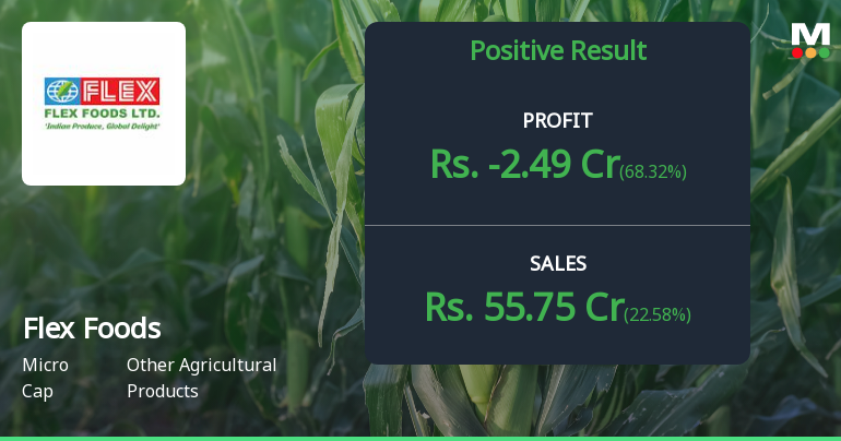 Flex Foods Q4 FY26: Quarterly Profit Narrows But Annual Losses Mount Amid Operational Headwinds