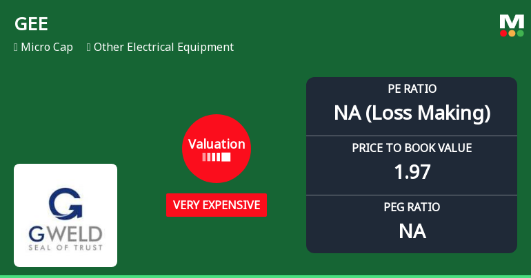 GEE Ltd Valuation Shifts Signal Heightened Price Risk Amid Mixed Returns