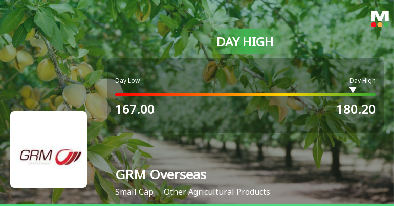 GRM Overseas Ltd Surges 7.29% to Day's High of Rs 178.6 — Outperforms Sector by 5.09 Percentage Points
