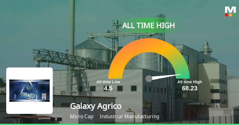Strong Momentum Meets Stretched Valuations as Galaxy Agrico Exports Ltd Reaches All-Time High