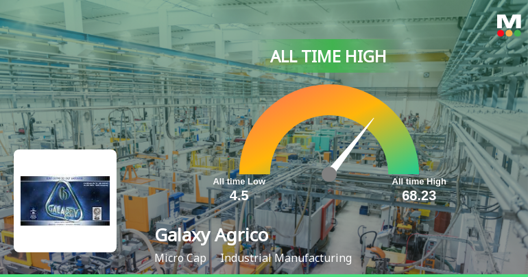 Galaxy Agrico Exports Ltd Hits All-Time High of Rs 58.89 as Momentum Builds Across Timeframes